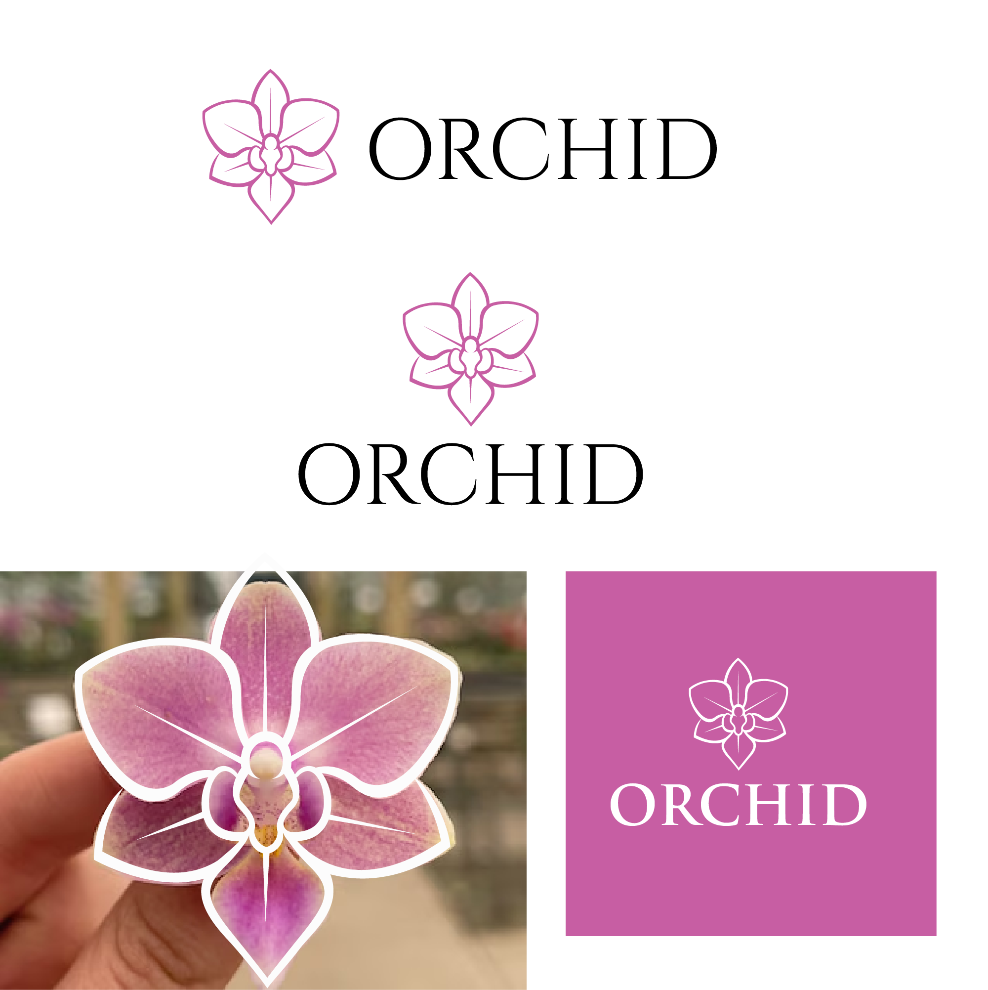 Logo-Design von Graphixpointt für Cotton & Company | Design #34394357