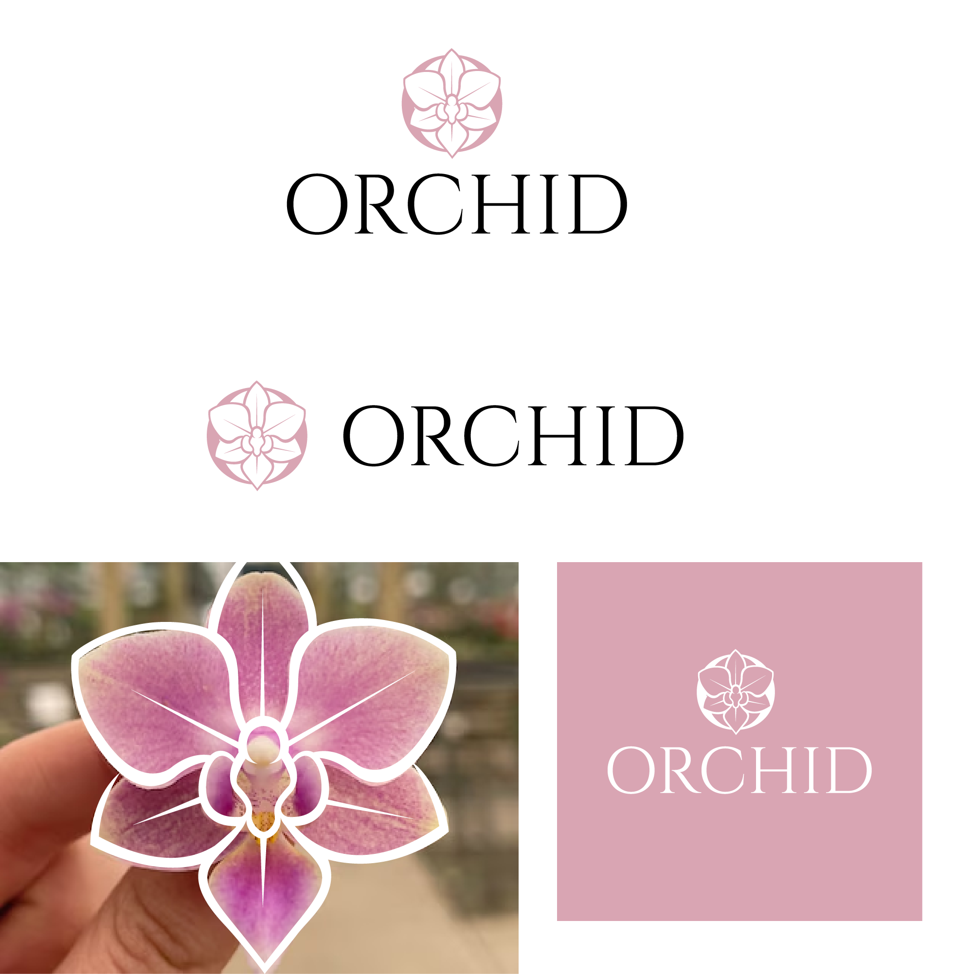 Logo Design by Graphixpointt for Cotton & Company | Design #34394772