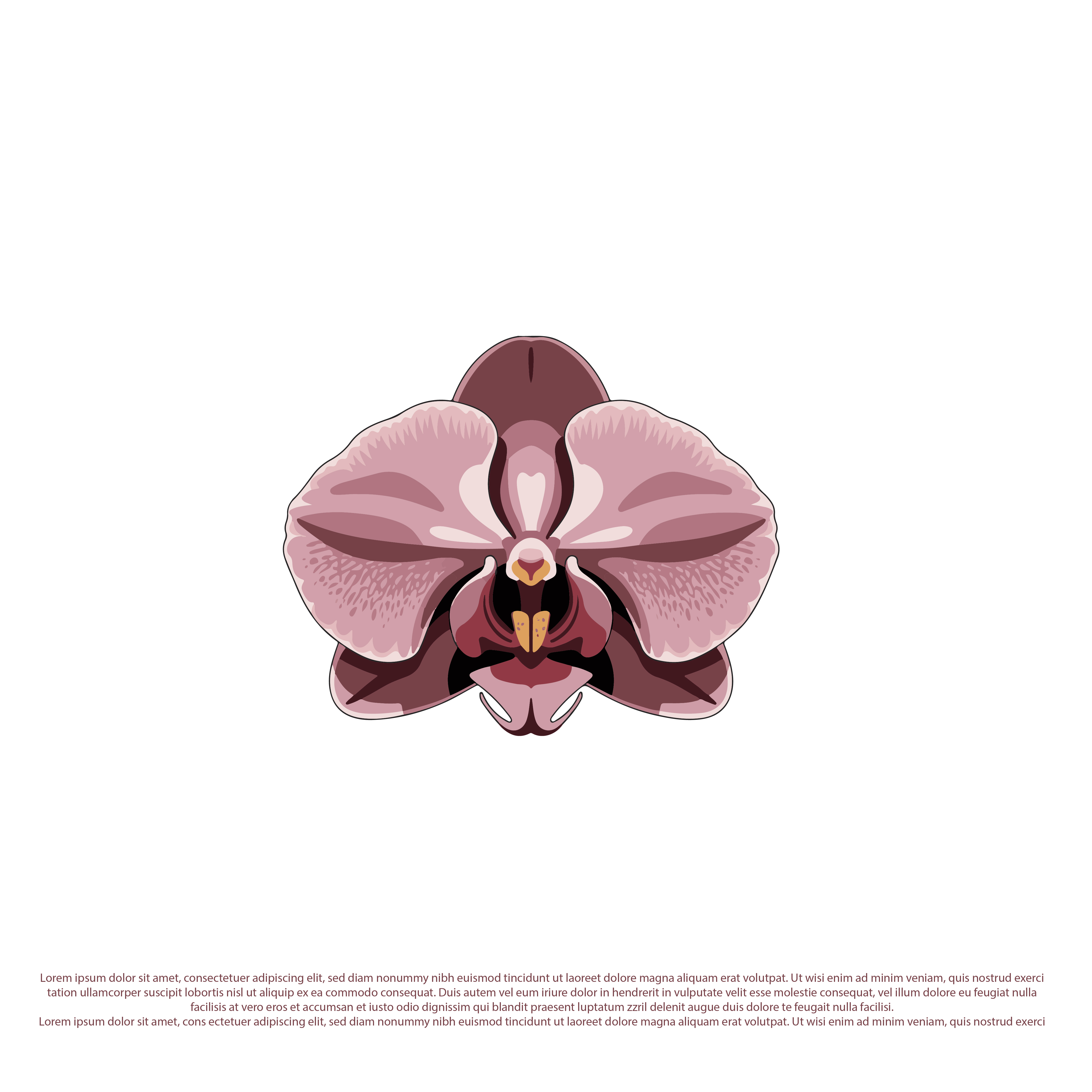 Logo-Design von Shariqology für Cotton & Company | Design #34410809