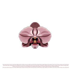 Logo-Design von Shariqology für Cotton & Company | Design: #34410809