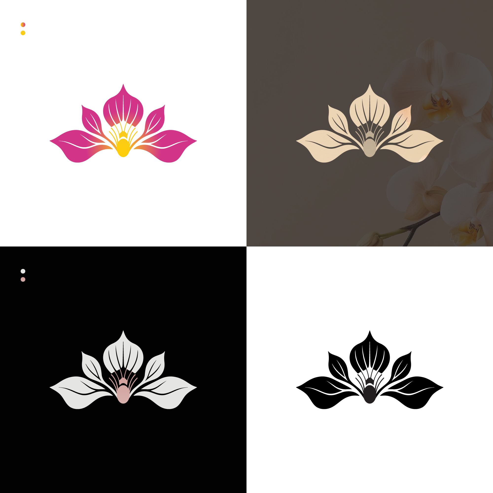 Design de Logo par JebaF pour Cotton & Company | Design #34411306