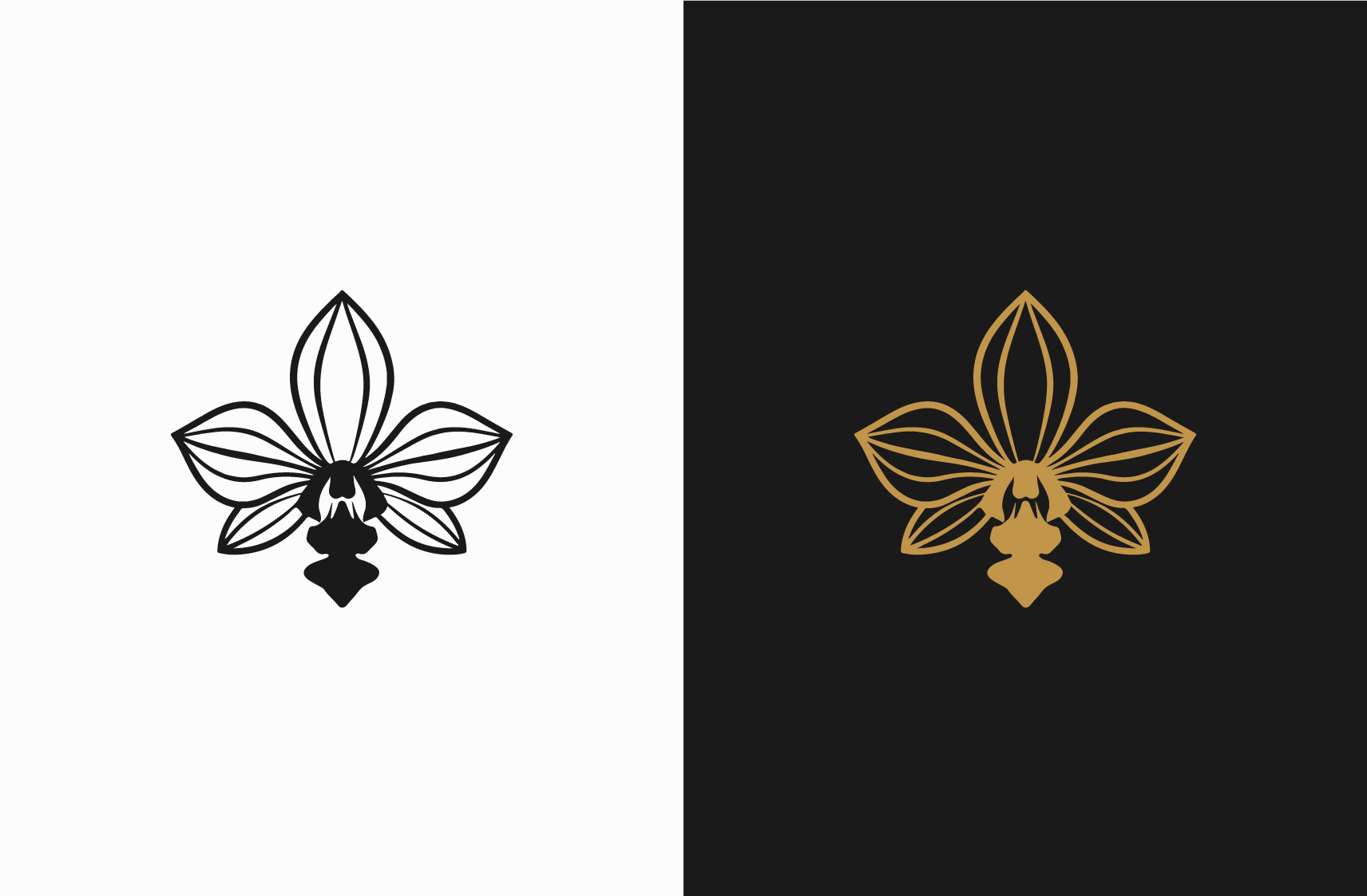 Logo-Design von Deejah für Cotton & Company | Design #34405198