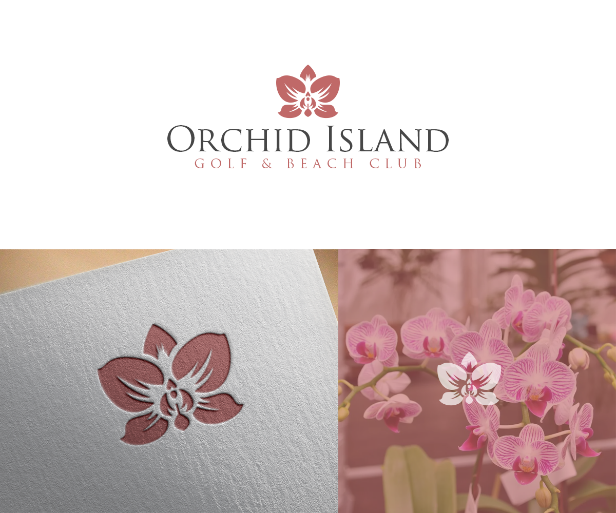 Logo-Design von SR Creations. für Cotton & Company | Design #34401099