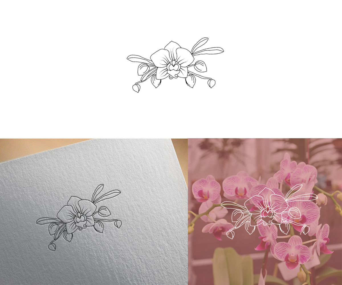 Logo Design by SR Creations. for Cotton & Company | Design #34401182