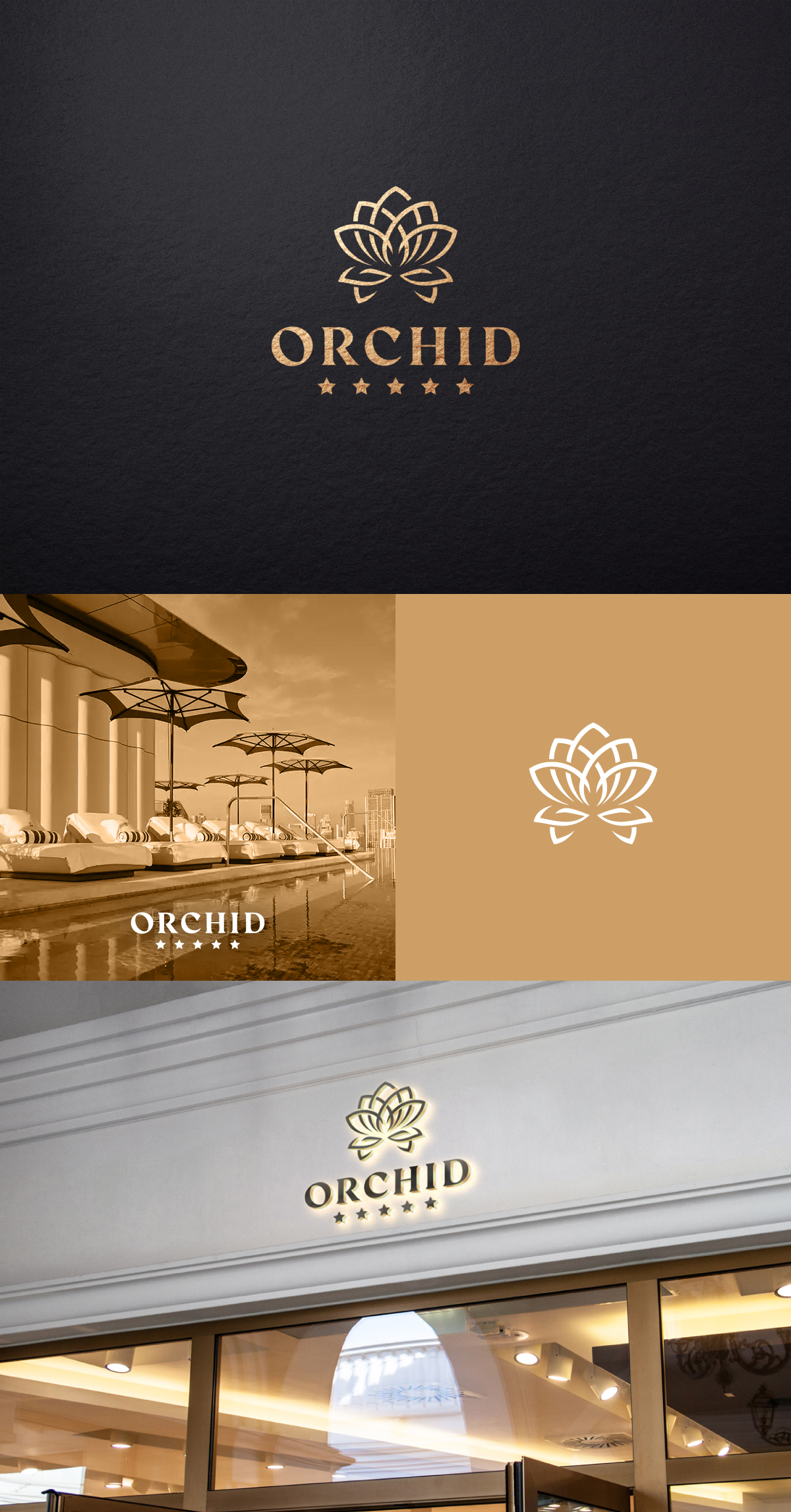 Logo Design by apik. for Cotton & Company | Design #34393295