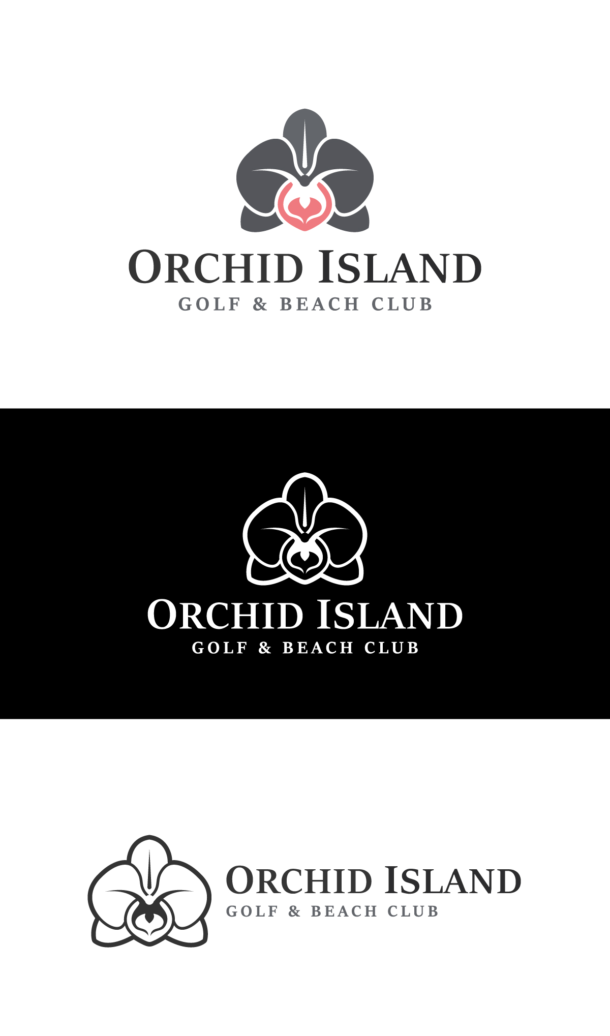 Logo Design by Adiba Craft for Cotton & Company | Design #34400317