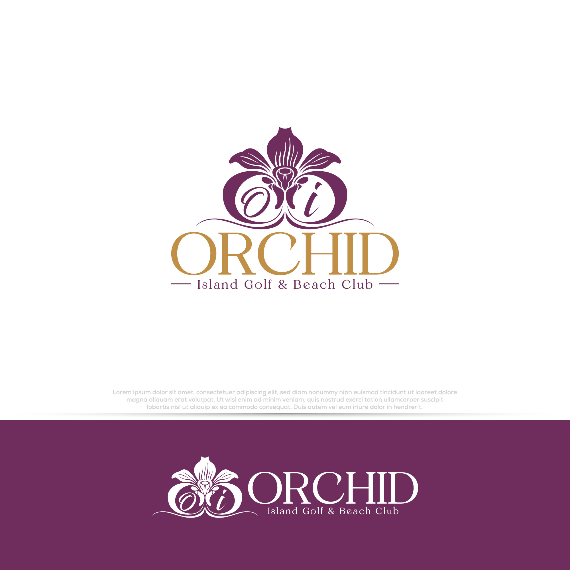 Logo Design by Pilot_DesignR™ for Cotton & Company | Design #34397994