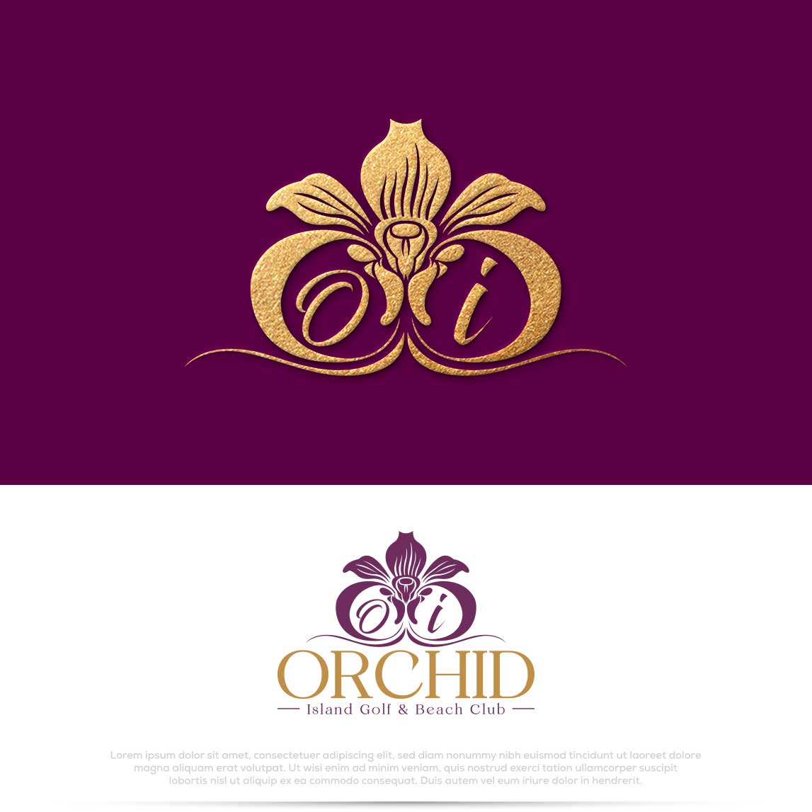Logo Design by Pilot_DesignR™ for Cotton & Company | Design #34397995