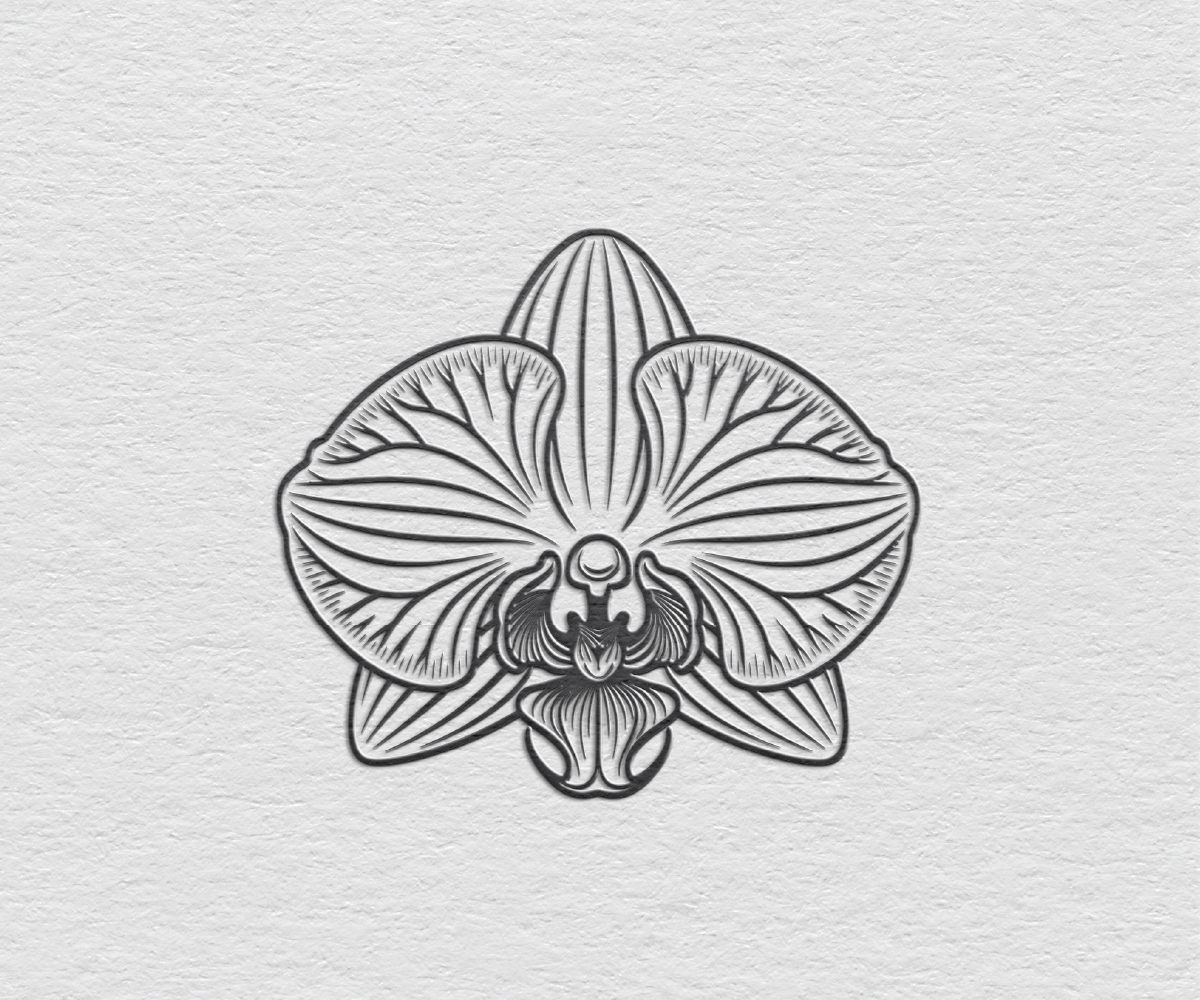 Logo-Design von S5 für Cotton & Company | Design #34420763