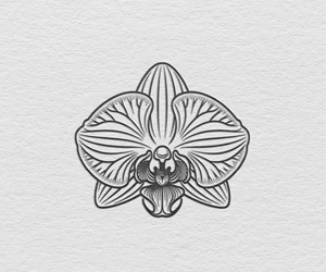 Diseño de Logo por S5 para Cotton & Company | Diseño: #34420763