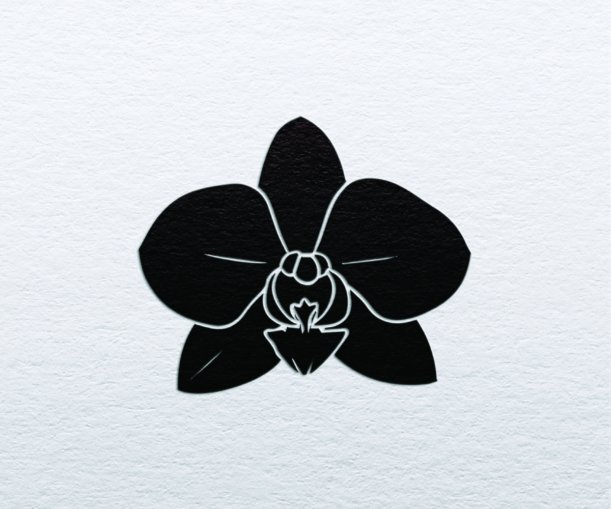 Logo-Design von S5 für Cotton & Company | Design #34478627