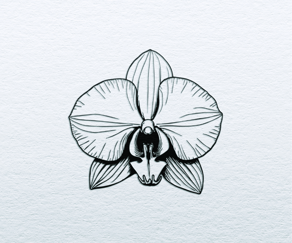 Logo-Design von S5 für Cotton & Company | Design #34478633