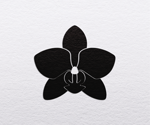 Diseño de Logo por S5 para Cotton & Company | Diseño: #34478747