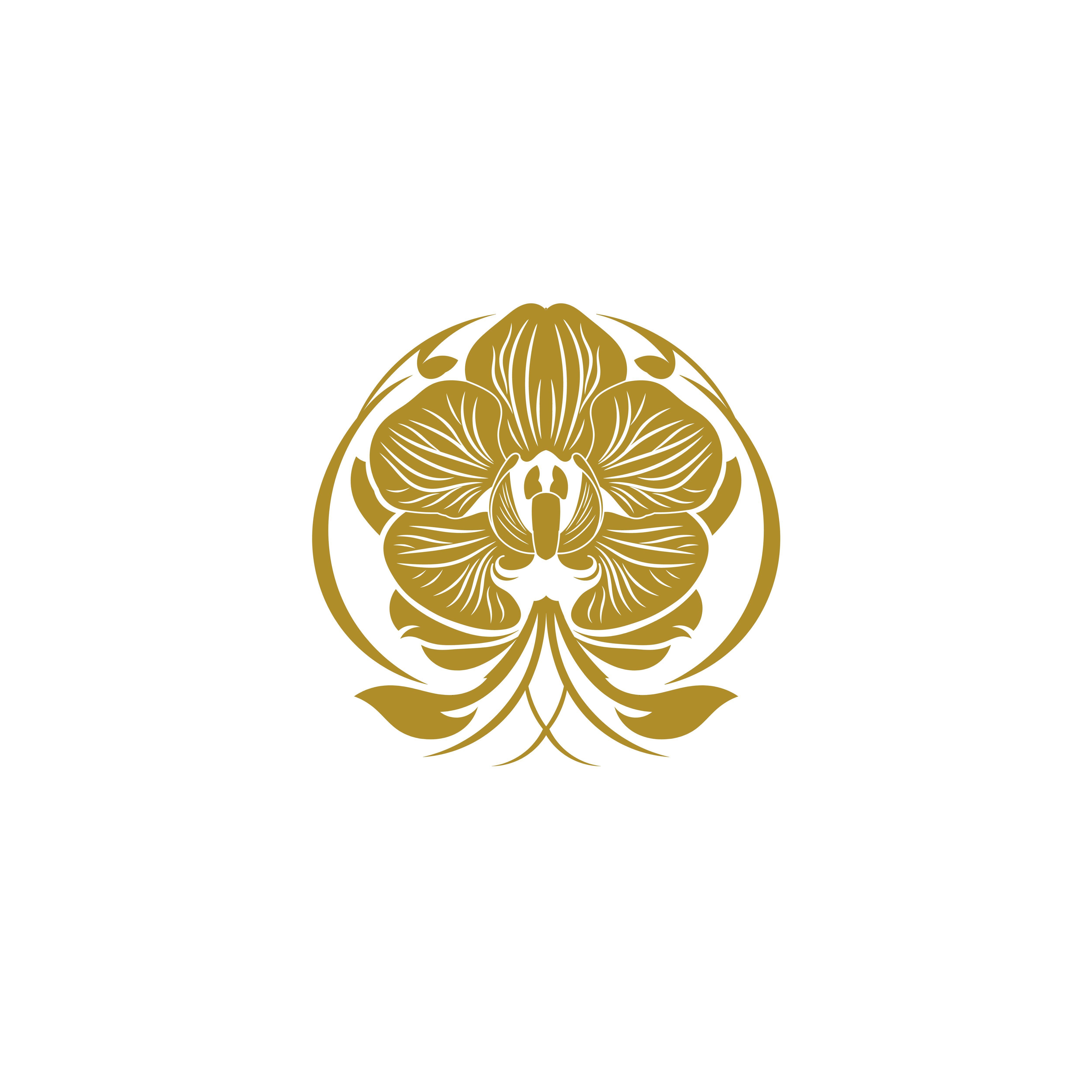 Design de Logo par Rita94 pour Cotton & Company | Design #34426052