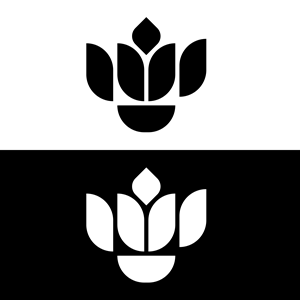 Logo Design by usmoryan for Cotton & Company | Design: #34419149