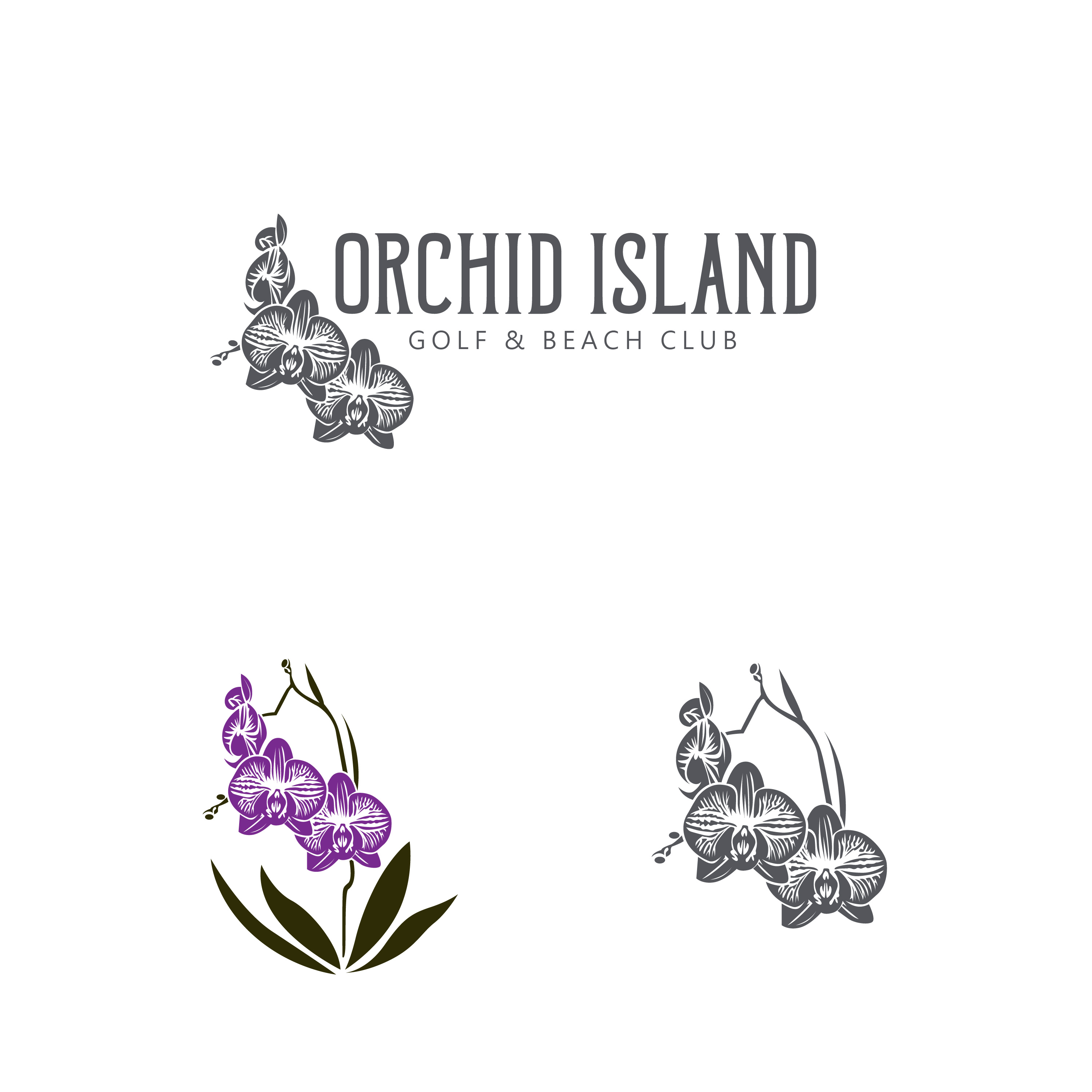 Logo-Design von bethmage janaka für Cotton & Company | Design #34427465