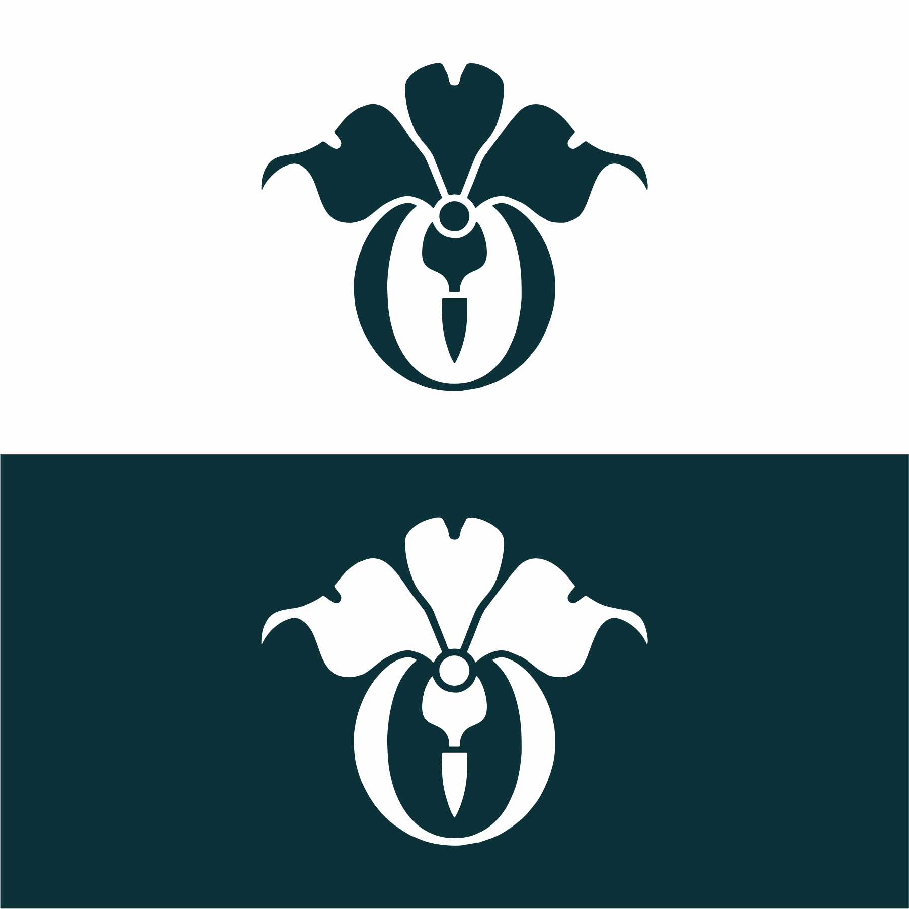 Design de Logo par Argidhan pour Cotton & Company | Design #34393784