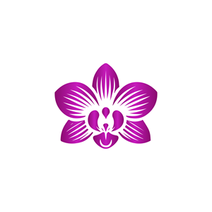 Diseño de Logo por dynamicstudio para Cotton & Company | Diseño: #34401651