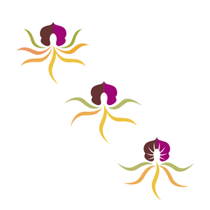 Logo Design by dojbol for Cotton & Company | Design: #34393781