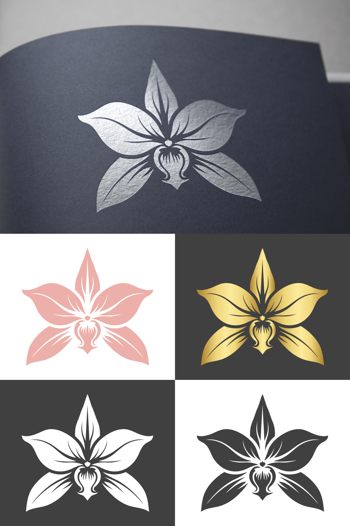 Logo Design by Betycat for Cotton & Company | Design #34400264