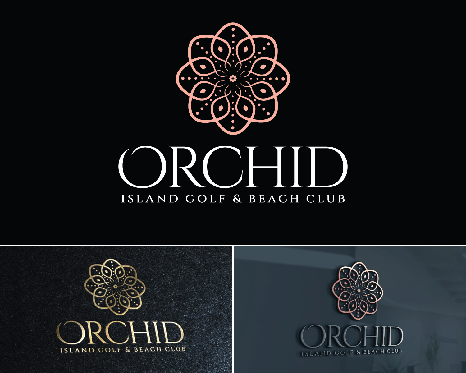 Logo Design by Atec for Cotton & Company | Design #34410130