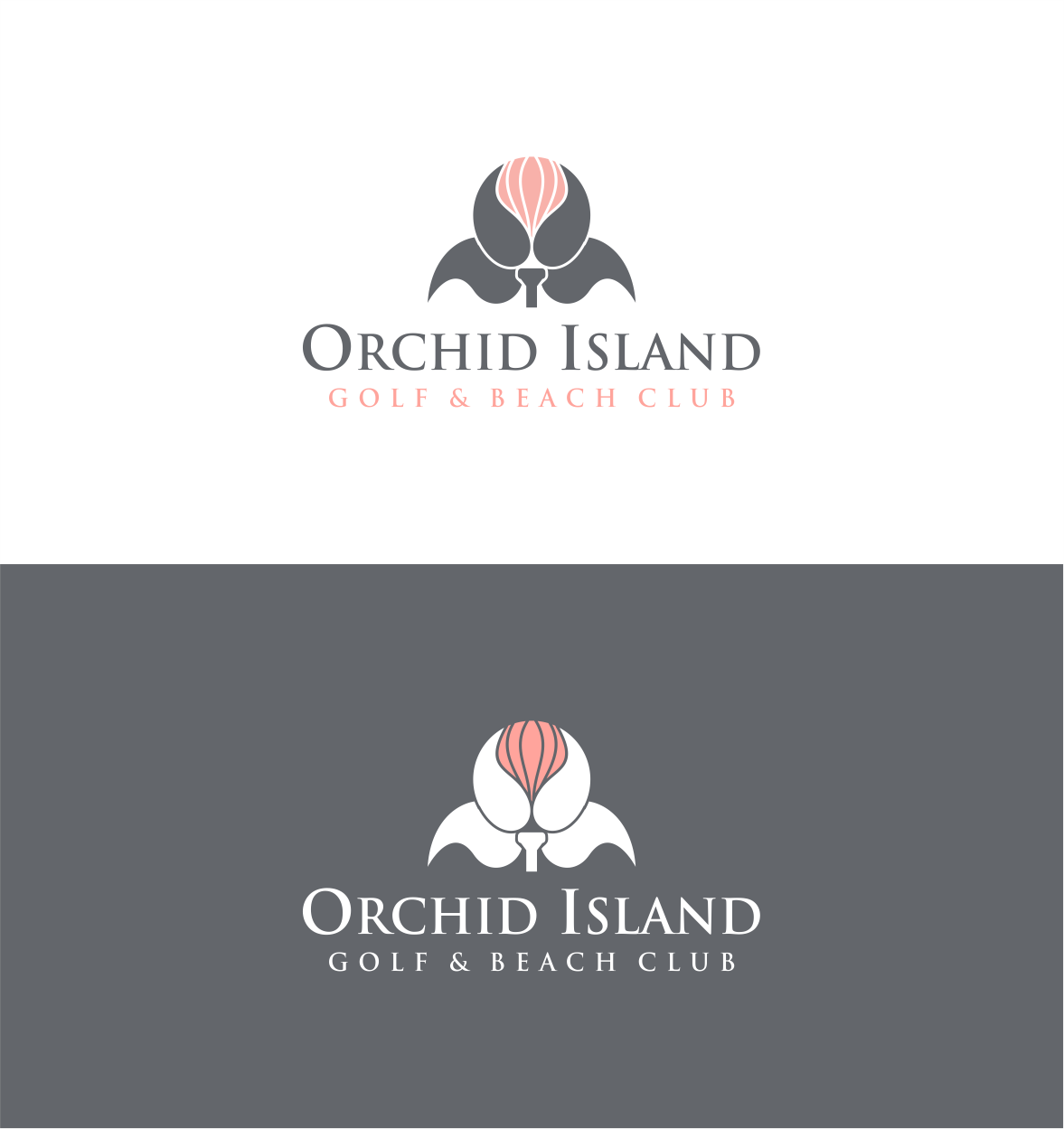 Design de Logo par Ad1Fa26 pour Cotton & Company | Design #34419183