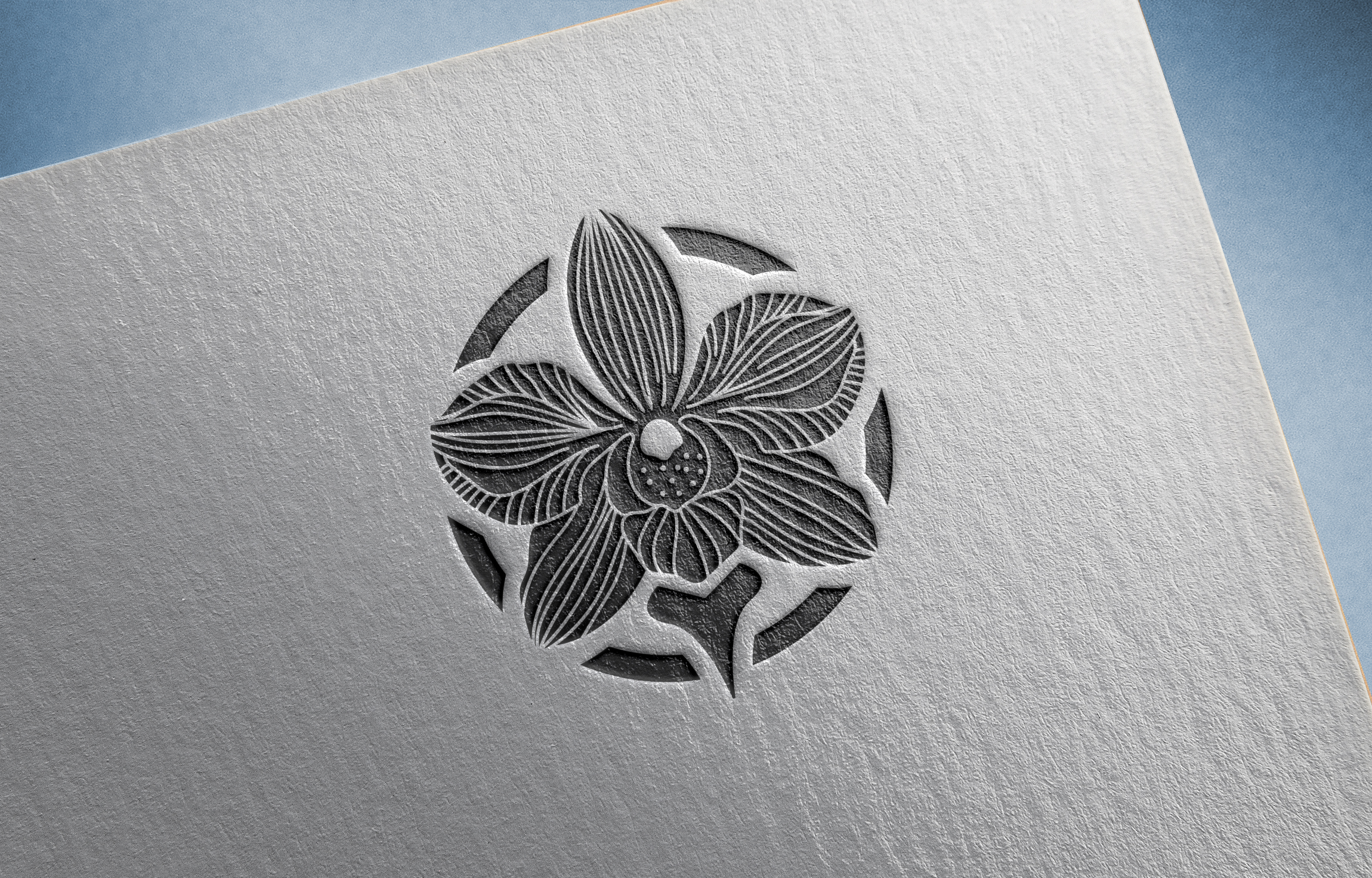 Logo-Design von vidarshana 2 für Cotton & Company | Design #34412979