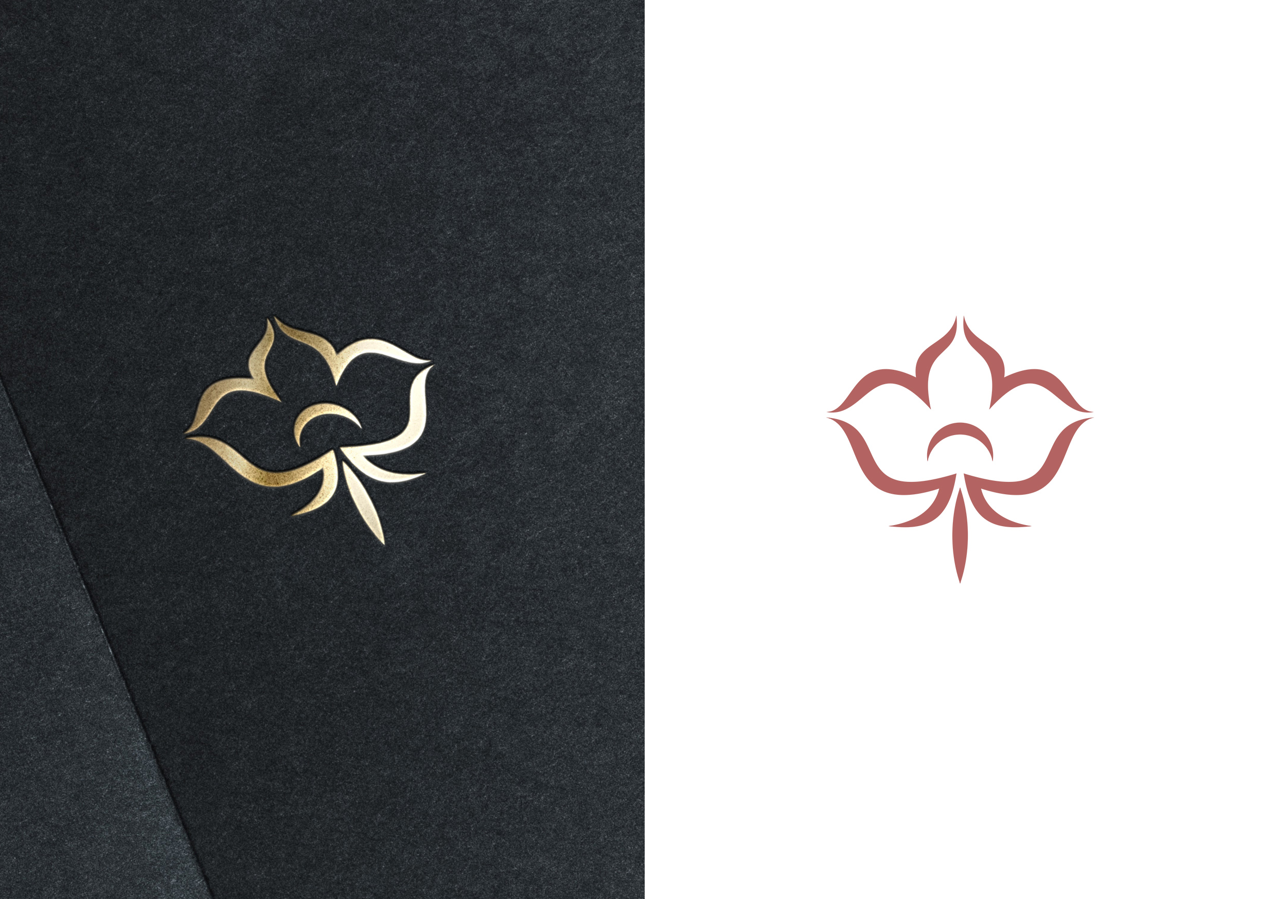 Logo Design by Olgert for Cotton & Company | Design #34413934