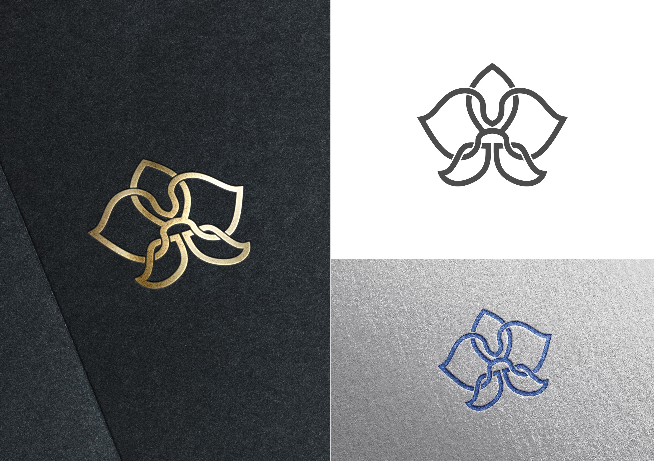 Logo-Design von Olgert für Cotton & Company | Design #34414111