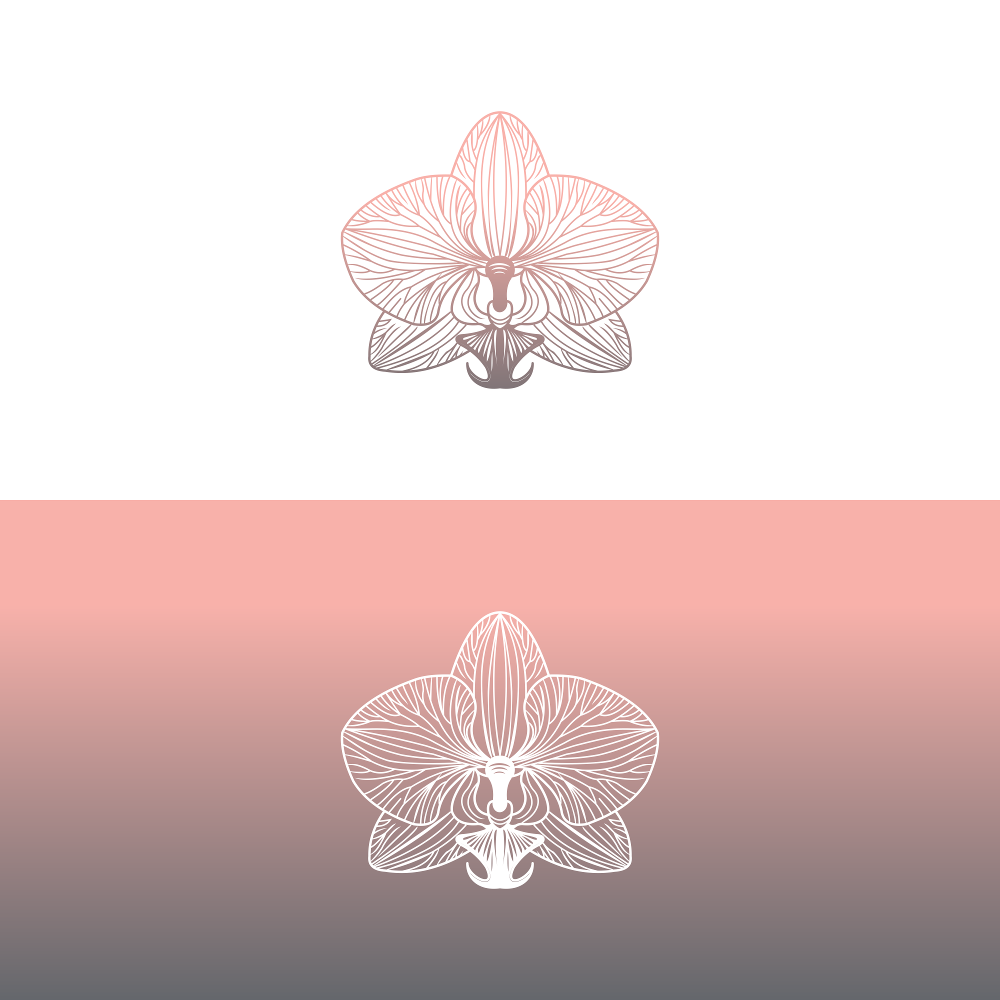 Design de Logo par maspandu pour Cotton & Company | Design #34403430