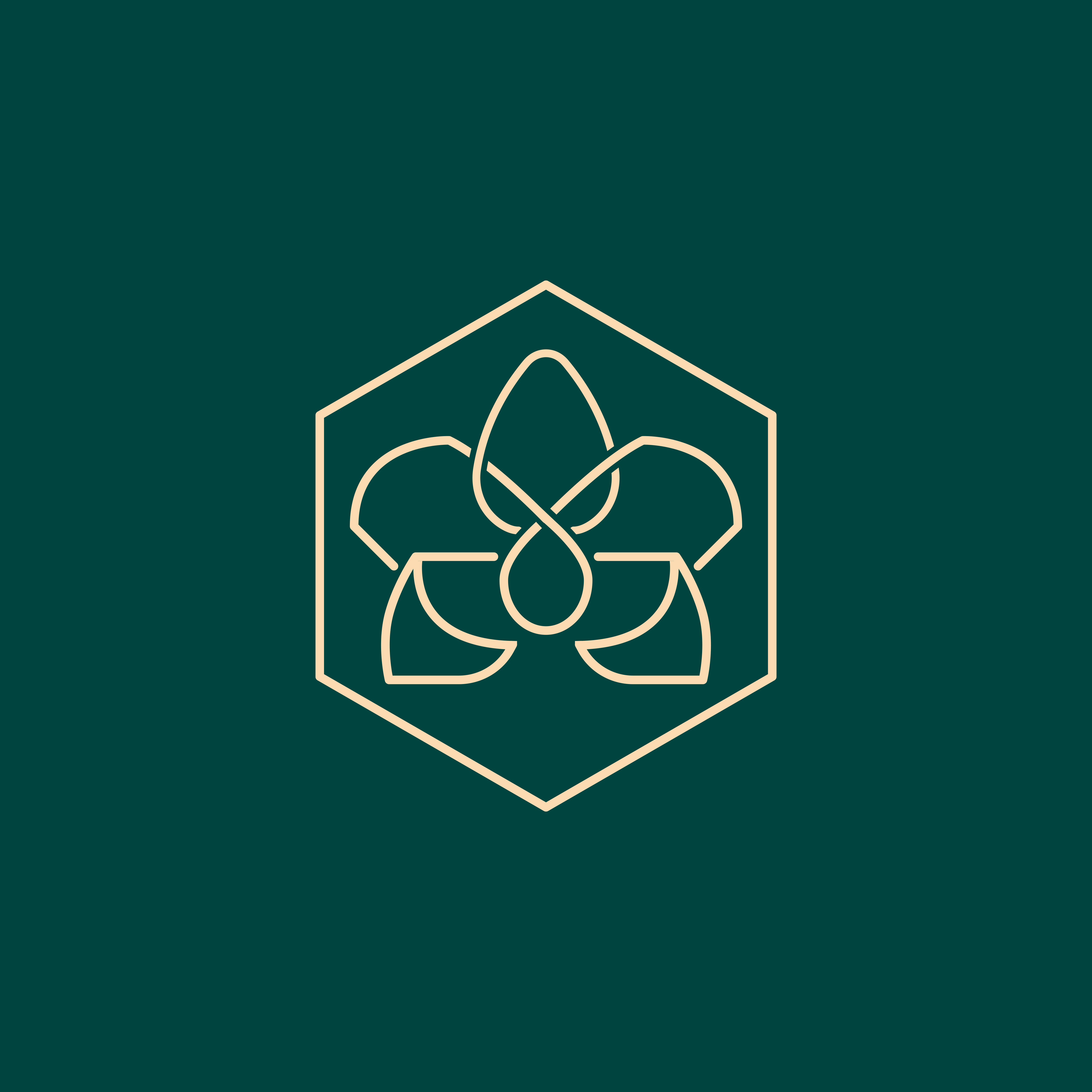 Logo Design by joneerror for Cotton & Company | Design #34424176