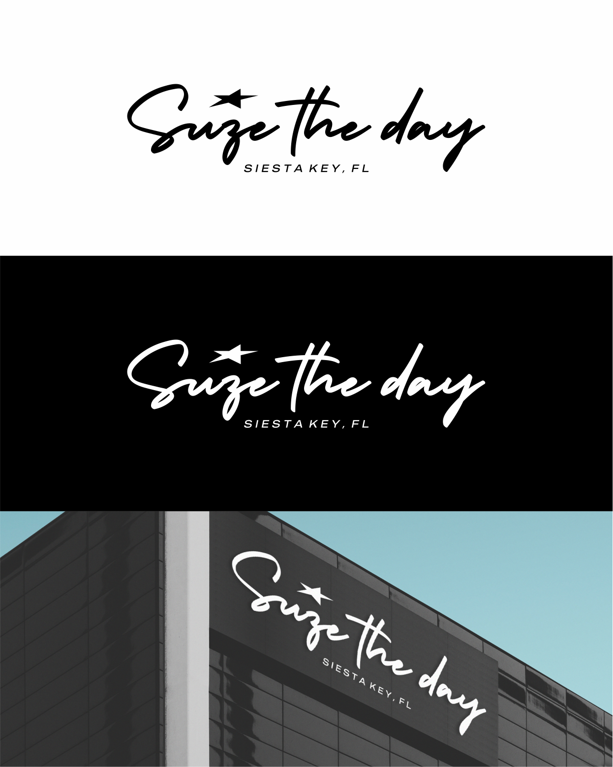 Logo Design by Sibyle for New Paradigm Promotional Marketing | Design #34410050
