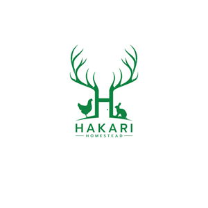 Logo Design by BEEQUEEN
