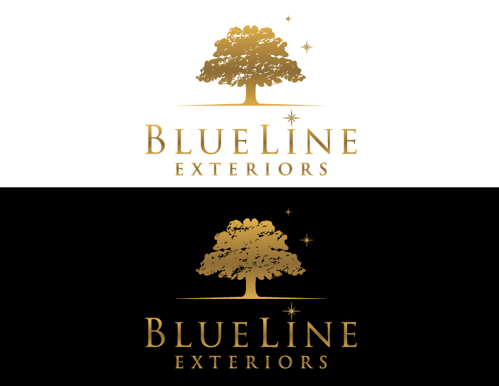 Diseño de Logo por RA-bica para este proyecto | Diseño #34405481