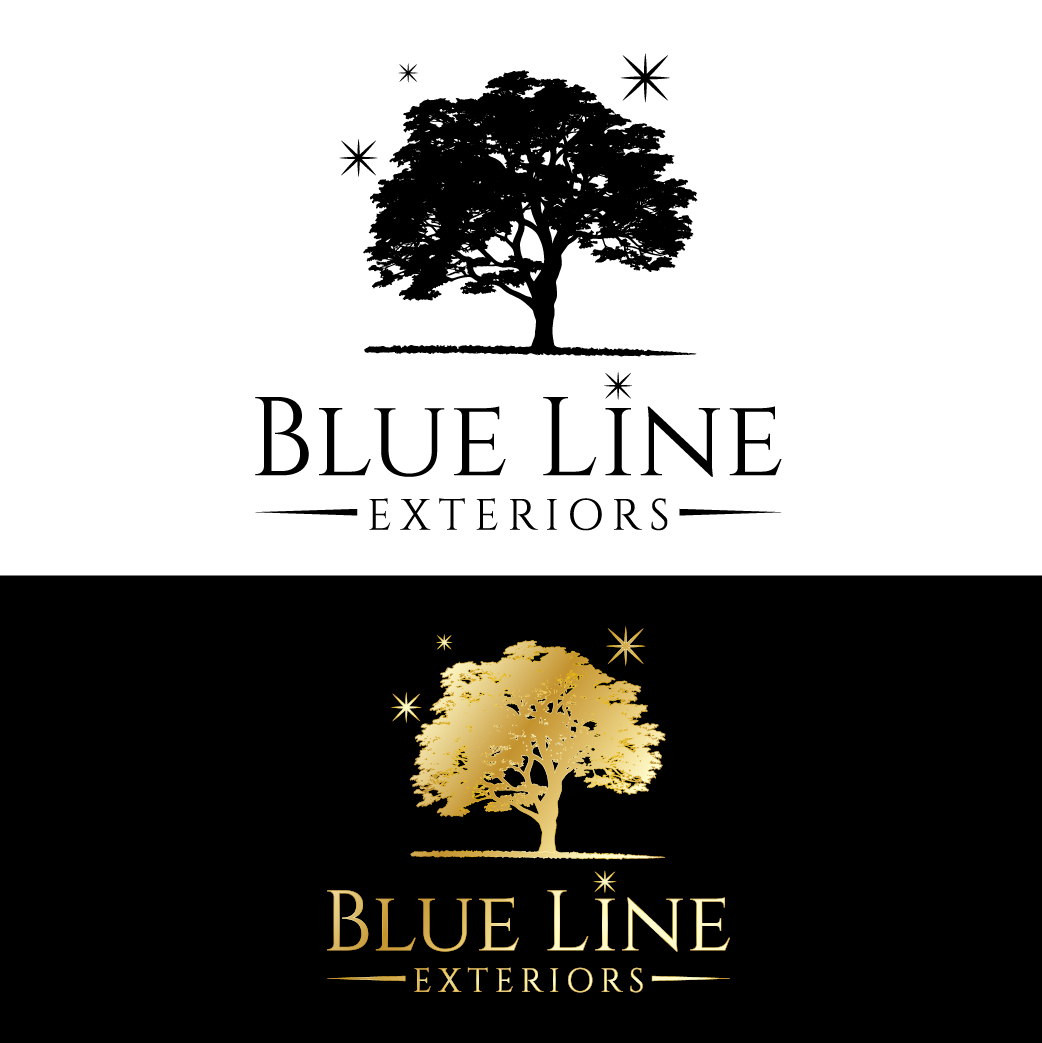 Diseño de Logo por ahmeddesigner123 para este proyecto | Diseño #34403847