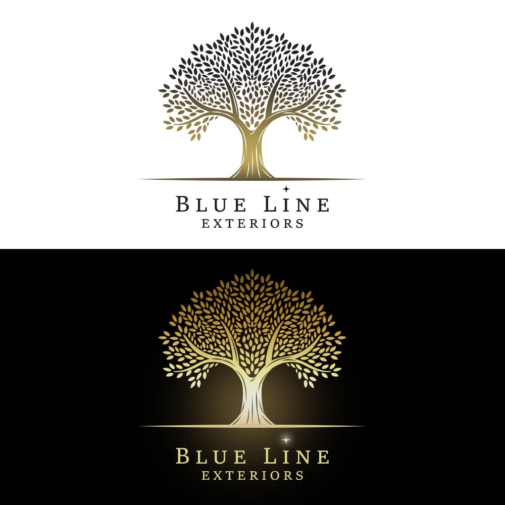 Diseño de Logo por vecaksdesign para este proyecto | Diseño #34405741