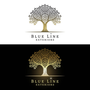 Diseño de Logo por vecaksdesign para este proyecto | Diseño: #34405741