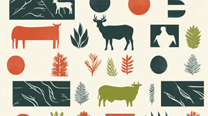 Packaging Design by Sam Clothier