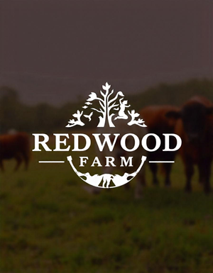 Logo Design by Sumana