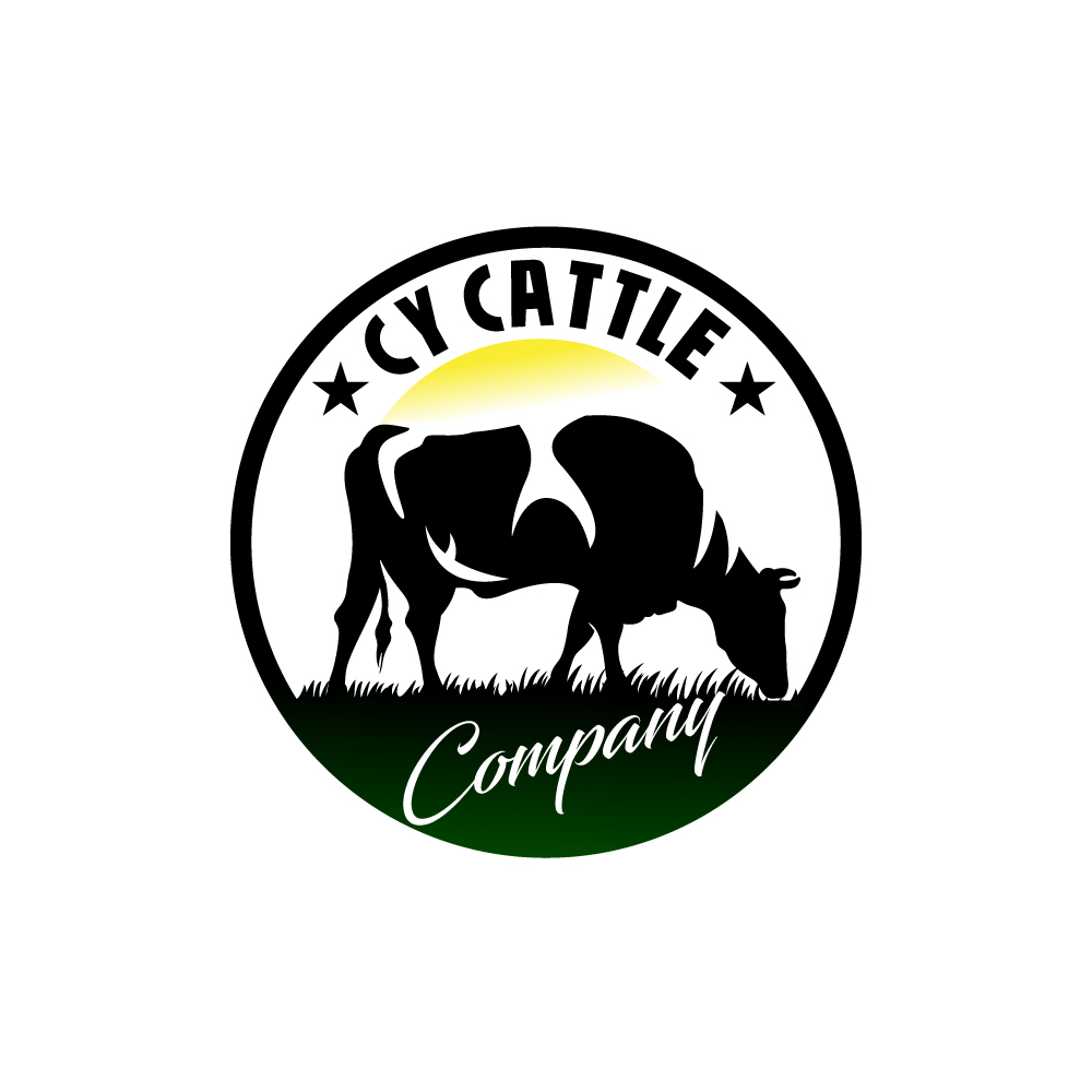 Logo Design by Krold IT Solutions for this project | Design #34449001