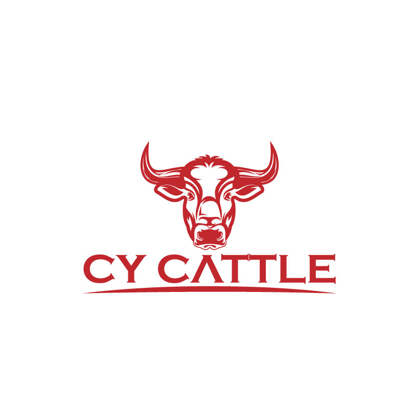 Logo Design by VisionCraft™ for this project | Design #34492952