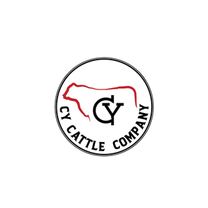 Logo-Design von VisionCraft™ für dieses Projekt | Design: #34513798