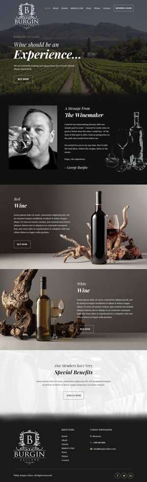 Wix Design by Starlyn DS for this project | Design: #34440785