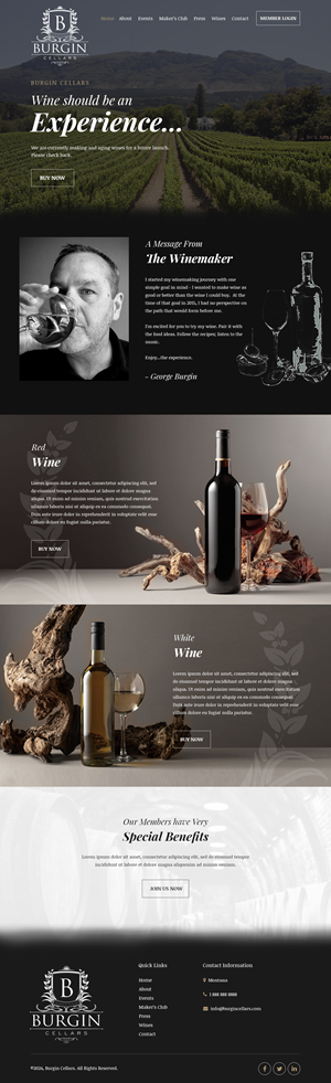 Wix Design by Starlyn DS for this project | Design: #34463479