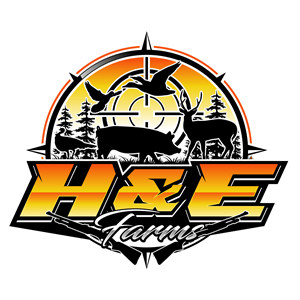 Logo Design by Suvendu.S for this project | Design: #34431985