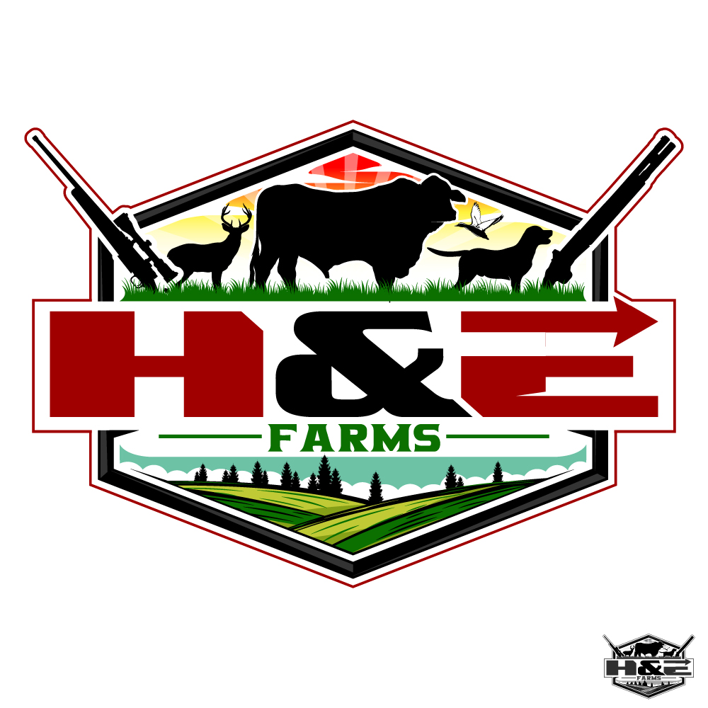 Logo Design by Suvendu.S for this project | Design #34432303