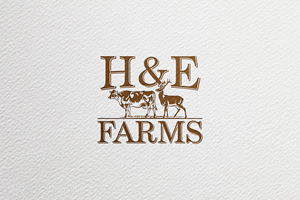 Logo Design by Rabi ven for this project | Design #34431221