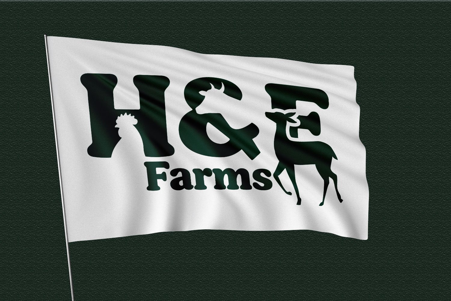 Logo Design by Abdul 20 for this project | Design #34456560