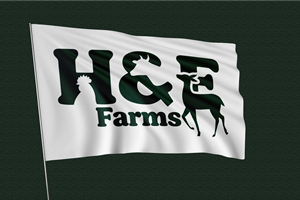 Logo Design by Abdul 20 for this project | Design: #34456560