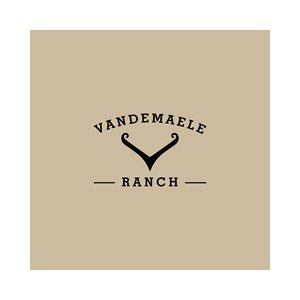 Logo Design by alrey_art